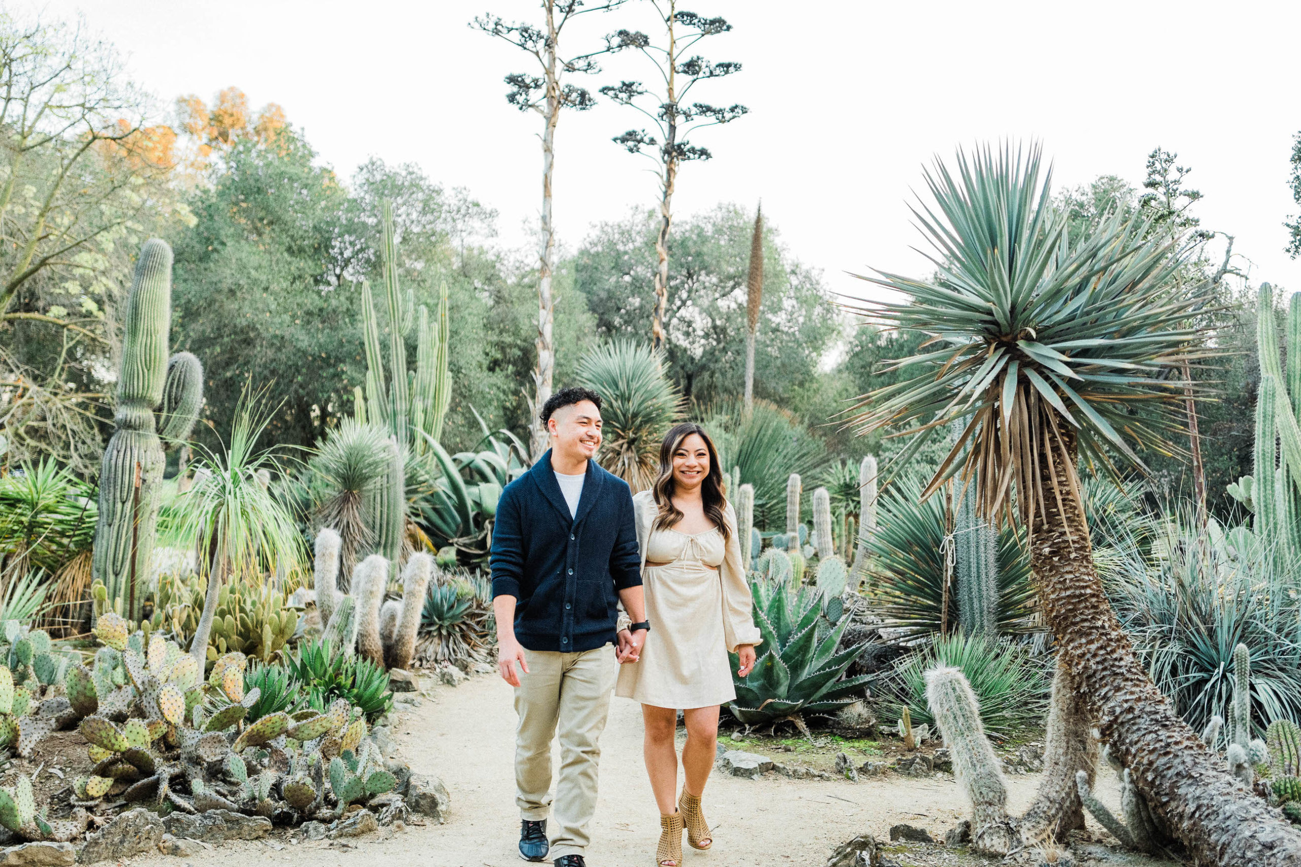 Arizona Cactus Garden Engagement Shoot, Palo Alto, CA. 